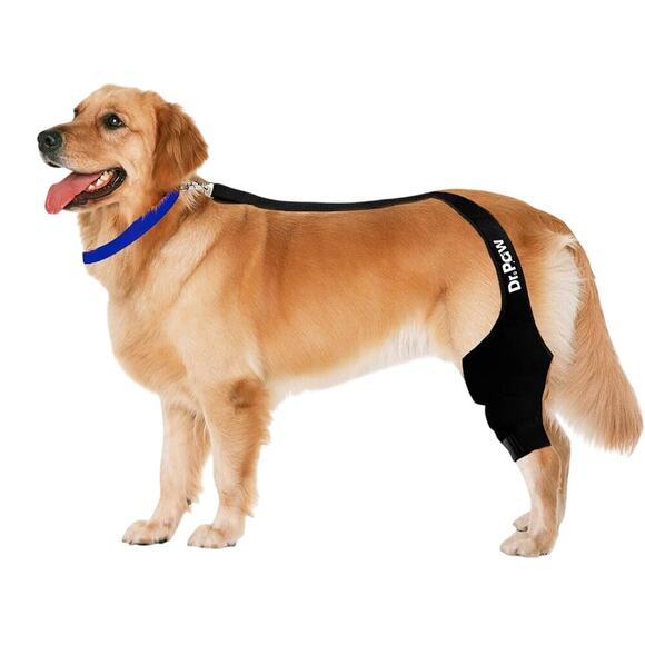 Dr. Paw Other - NEW Dr. Paw Dog ACL Knee Brace for Torn ACL Hind Leg Secure Fit Size Large